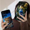 Cute Tiger and Bird For Samsung A03 Core A04 05 06 12 14 15 16 22 23 Galaxy 25 26 4G 34 35 52 53 56 71 73 90 5G Soft Phone Case