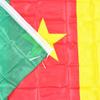 Kamerun Nationalflagge 90 * 150 cm 3x5 Fuß für Parade-Partys zum Aufhängen von Heimdekorationsbannern