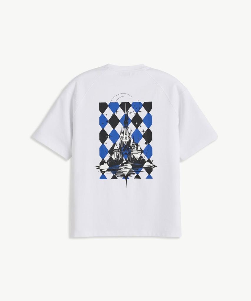 STCO Print Short Sleeve T-Shirt_White (Oversized Fit)_Stsxb71Opw