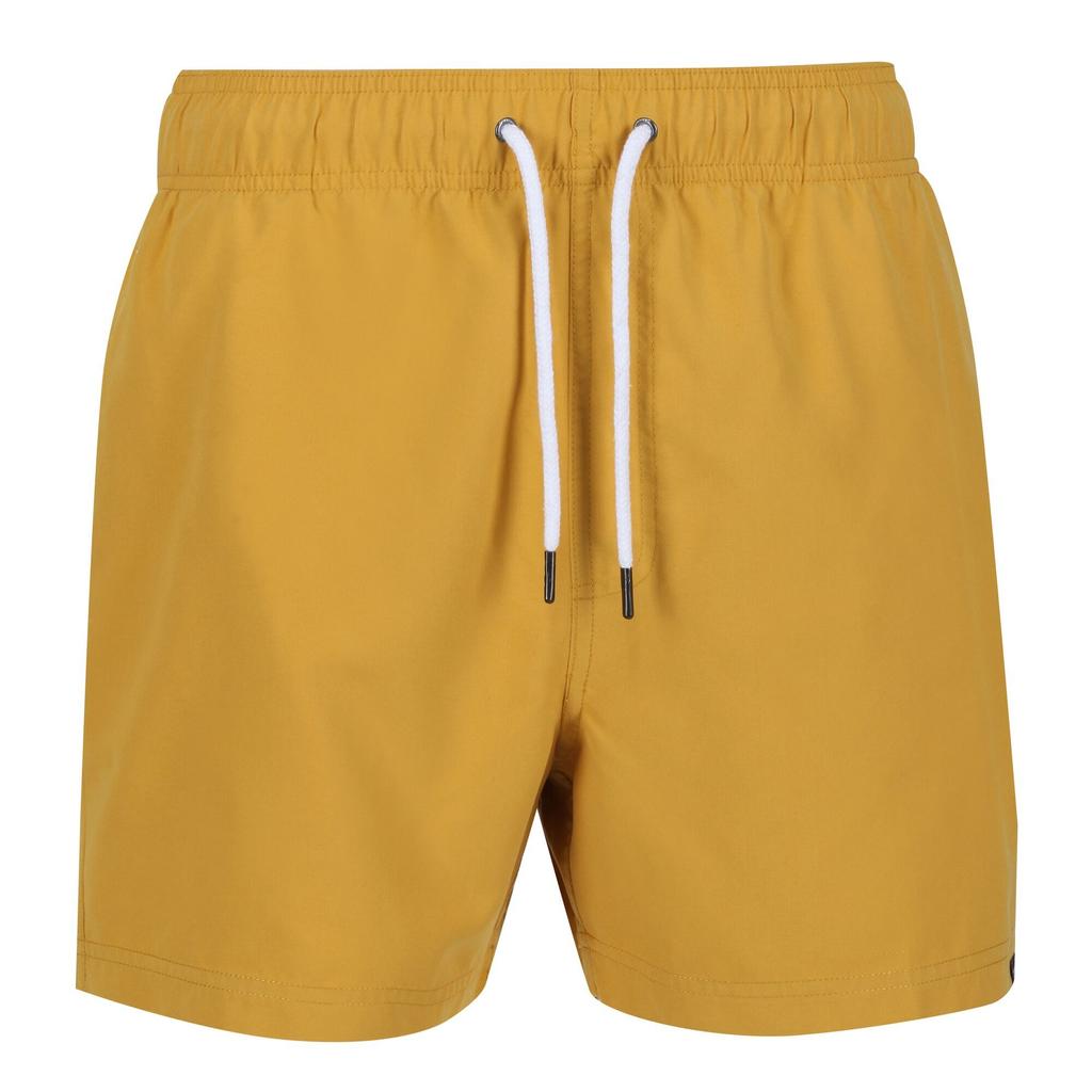 Regatta Mens Mawson II Swim Shorts