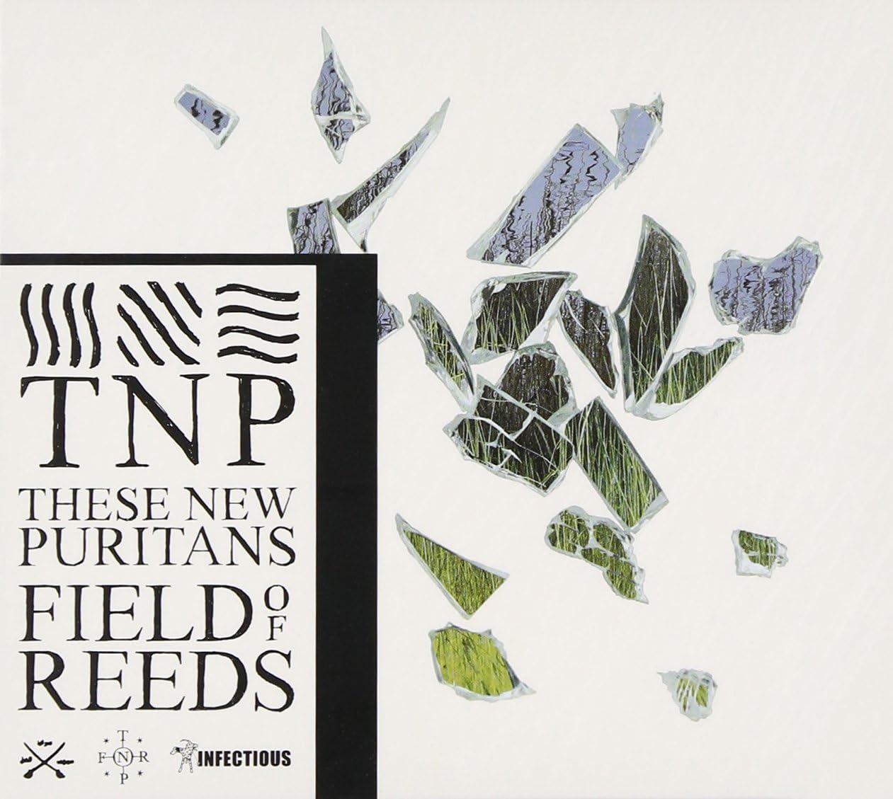 

CD THESE NEW PURITANS - Field of Leeds 4582280487055 Japan Dance & Electronica Used