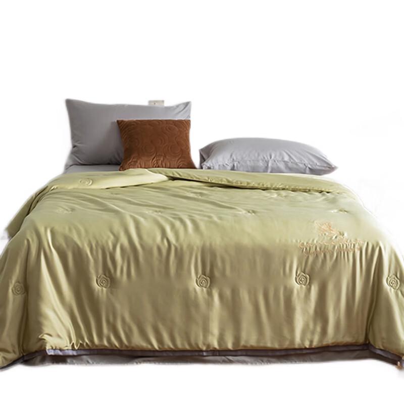 

CHANSI Camellia Series Summer AC Quilt