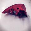OE Number 4133200U7101 for JAC J5 Rear Right Tail Lamp Automobiles Motorcycles Car Light Assembly