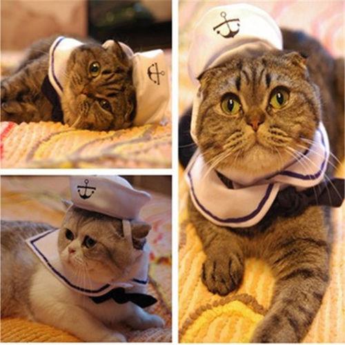 Cat Small Pet Dog Puppy Kitten Clothes Costume Sailor Suit Outfit Hat Gifts Cape