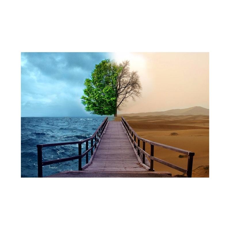 Desert Series Photography Background Natural Scenery Backdrop Photo Backdrop Studio Supplies Props Home Decor