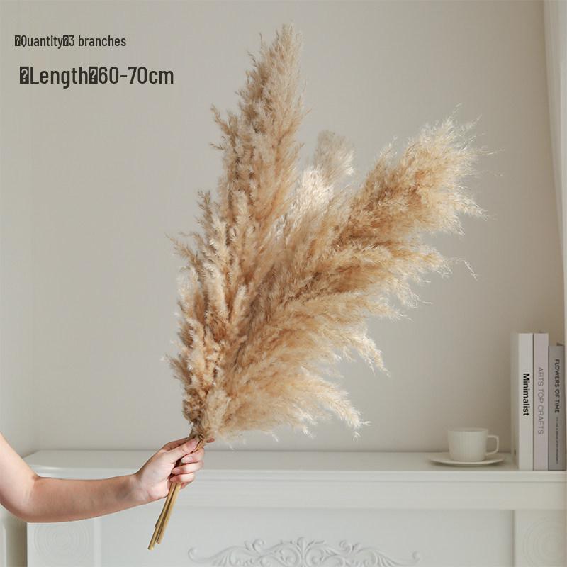 Natural Air-Dried Reed and Cattail Flower Bouquet for Floor Vase Decoration
