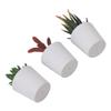 3pcs Artificial Succulent Bonsai Plants Charming Desktop Simulation Succulent Plant Set Home Desk Office Wedding Table Decor