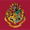 HARRY POTTER Bradavice Koberec