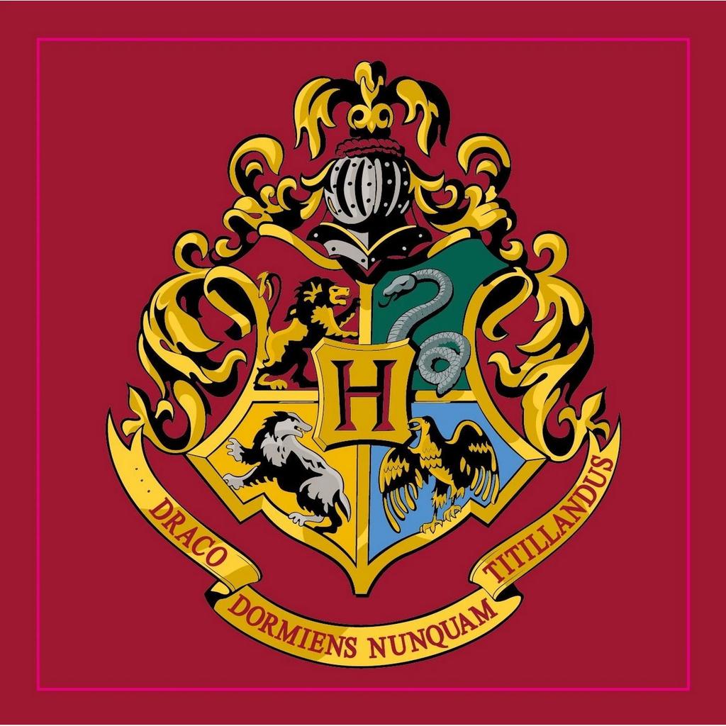 HARRY POTTER Bradavice Koberec