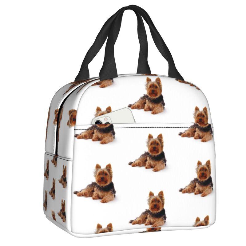Yorkshire Terrier Dog Resuable Lunch Boxes for Women Waterproof Yorkie Lover Thermal Cooler Food Insulated Lunch Bag Office Work