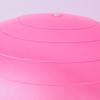 95cm Anti-Burst Yoga Exercise Ball with Air Plug