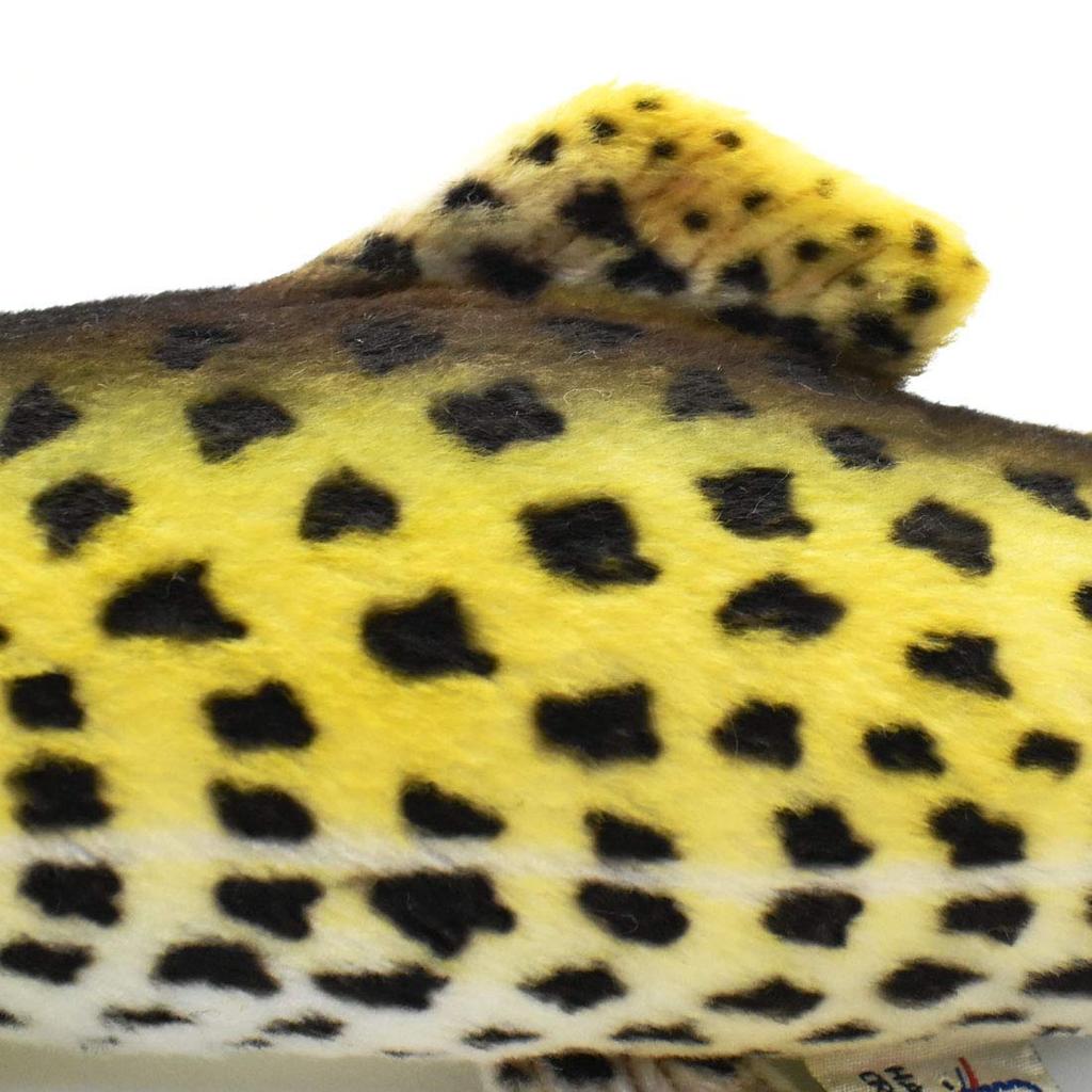 Rainbow trout No. 6047