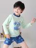 2026 Boys' Sun Protection Swimwear: Two-Piece Kids' Swimsuit & Trunks