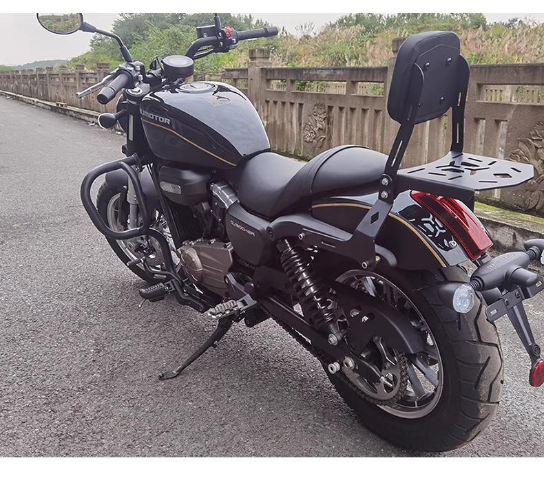 Retro Rear Backrest & Anti-Fall Guard for Qianjiang Flash 300S Motorcycle