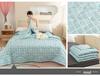 Summer Thin Ultrasonic Aloe Cotton Quilt for Dormitory Students