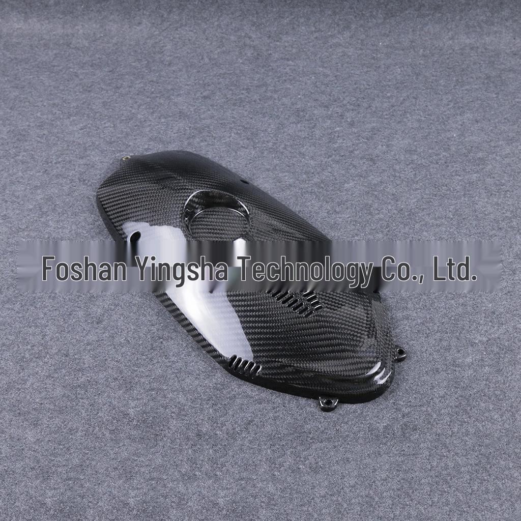 BMW R Nine T (2015-2016) Carbon Fiber Engine & Water Cooler Cover