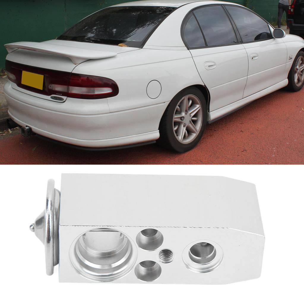 AC Expansion Valve Replacement for VT VX VY V6 V8 900 9000 900I TL Verada