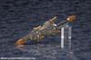 Kotobukiya Hexagear Bulk Arm Lambda Wolfsarg Height Approx. 215mm 1/24 Scale Plastic Model