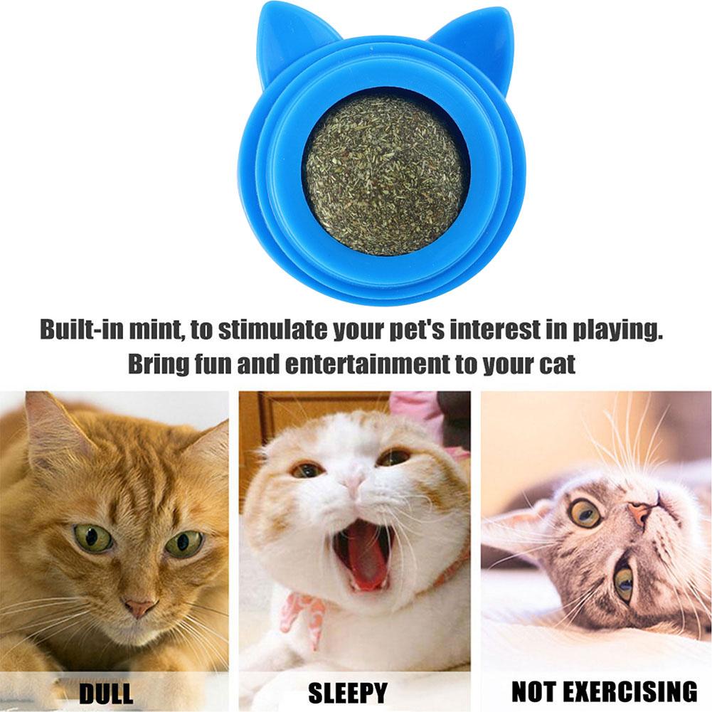 Rotatable Cat Cleaning Toy Self-Adhesive Catnip Balls Toy for Cats Catnip Wall Balls for Cats Teeth Cleaning Pet Treats Supplies