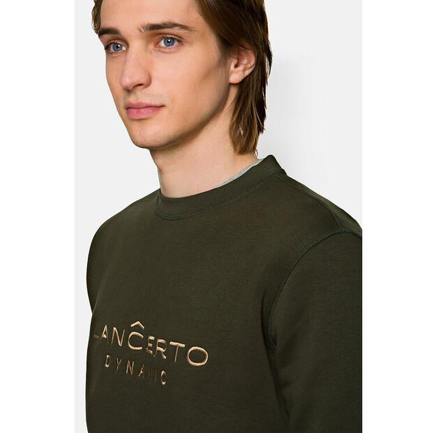 Толстовка Lancerto Quentin