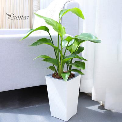 Self-Watering Plant Pot with Drainage Holes Automatic Watering Flowerpot Water Storage Planter for Indoor Outdoor Plants