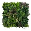 Zielona ściana - panel roślinny - wine garden c - uv 50 x 50