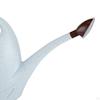 Elegant Long Spout Watering Can for Indoor and Outdoor Plants