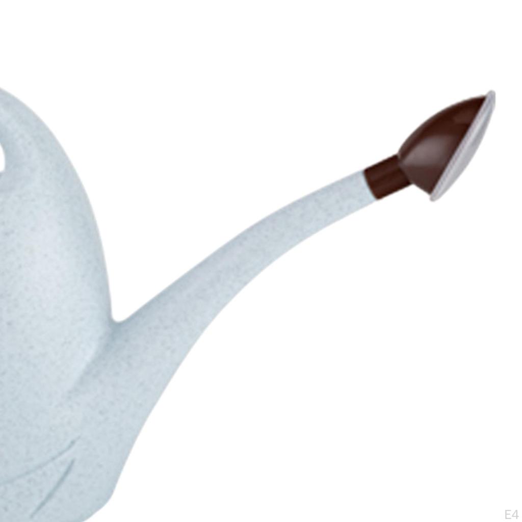 Elegante Gießkanne mit langem Ausguss für Zimmer- und Außenpflanzen