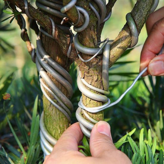 Bonsai Training Aluminum Wire 2.0mm Coated Aluminum Wire 16Ft/33Ft Bonsai Tree Wire for Fine Trunk And Branch Control