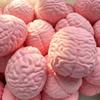 Simulated Brain Squeeze Toy Slow Rebound Stress Relieving Toy Creative Stress Relieving Toy Gift