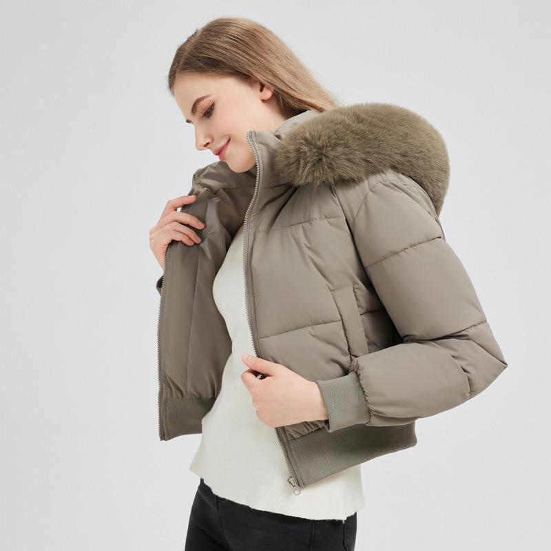 Winter new fur collar casual versatile cotton clothes women's hooded short thermal cotton-padded clothes hooded new coat