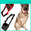 Perros – Manuales de entrenamiento y conducta