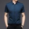 Short-sleeved Shirt Middle-aged Summer New Business Casual Thin Temperament Loose Men's Shirt Dad Cardigan Men