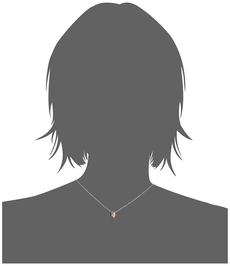 Lionheart Silver Pair Necklace 1NE236B1MX