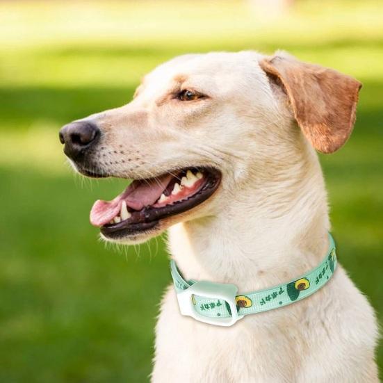 Yousheng Haustierabwehrhalsband Effektiv Verstellbar Wasserdicht Bedruckt Anti-Floh-Zeckenhalsband für Kleine Mittlere Große Hunde Katzen Welpen Haustierbedarf