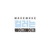 WAKEMAKE - Defining Cover Concealfit Palette - 2 Types