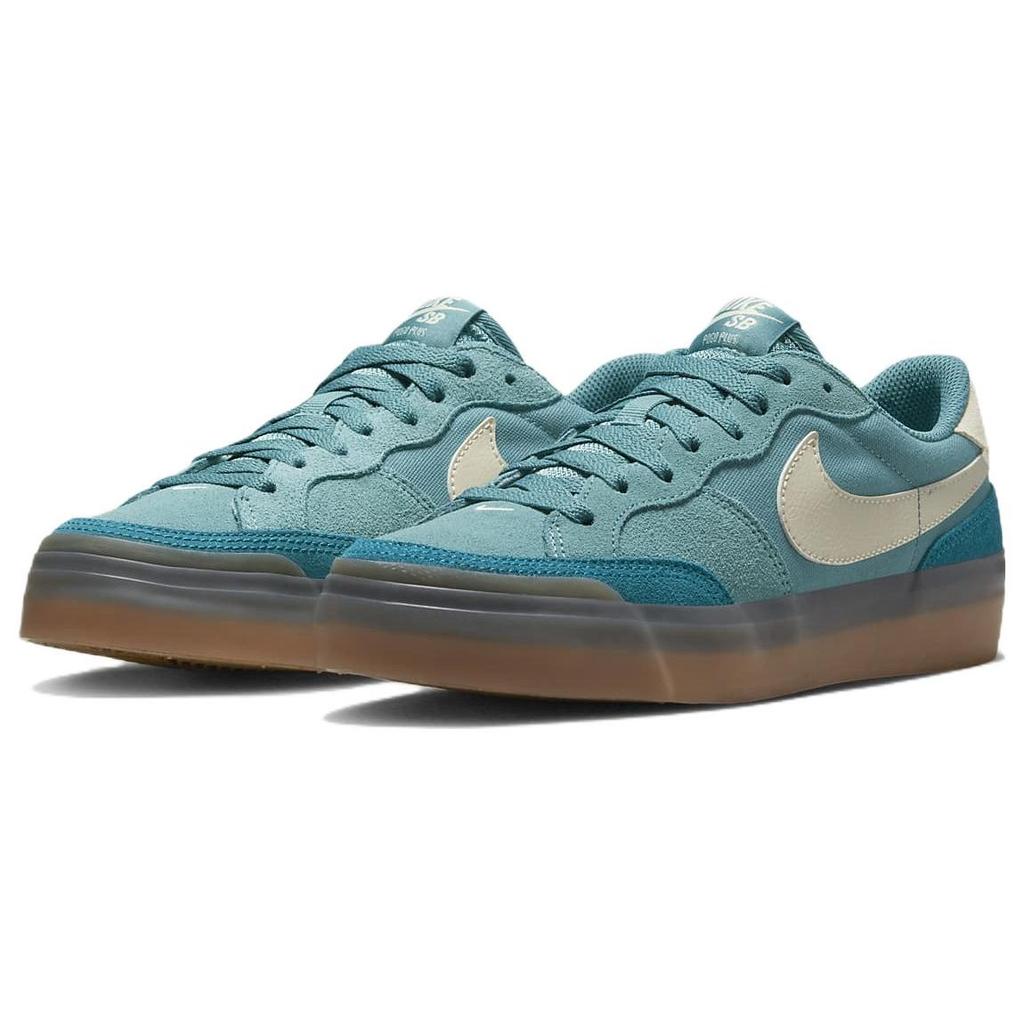 Nike Sb Zoom Pogo Plus Noise Aqua Women's DV5469-401