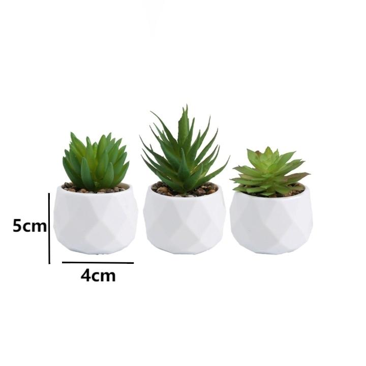 Artificial Succulents Decorative Flower Pot Easy Maintenance