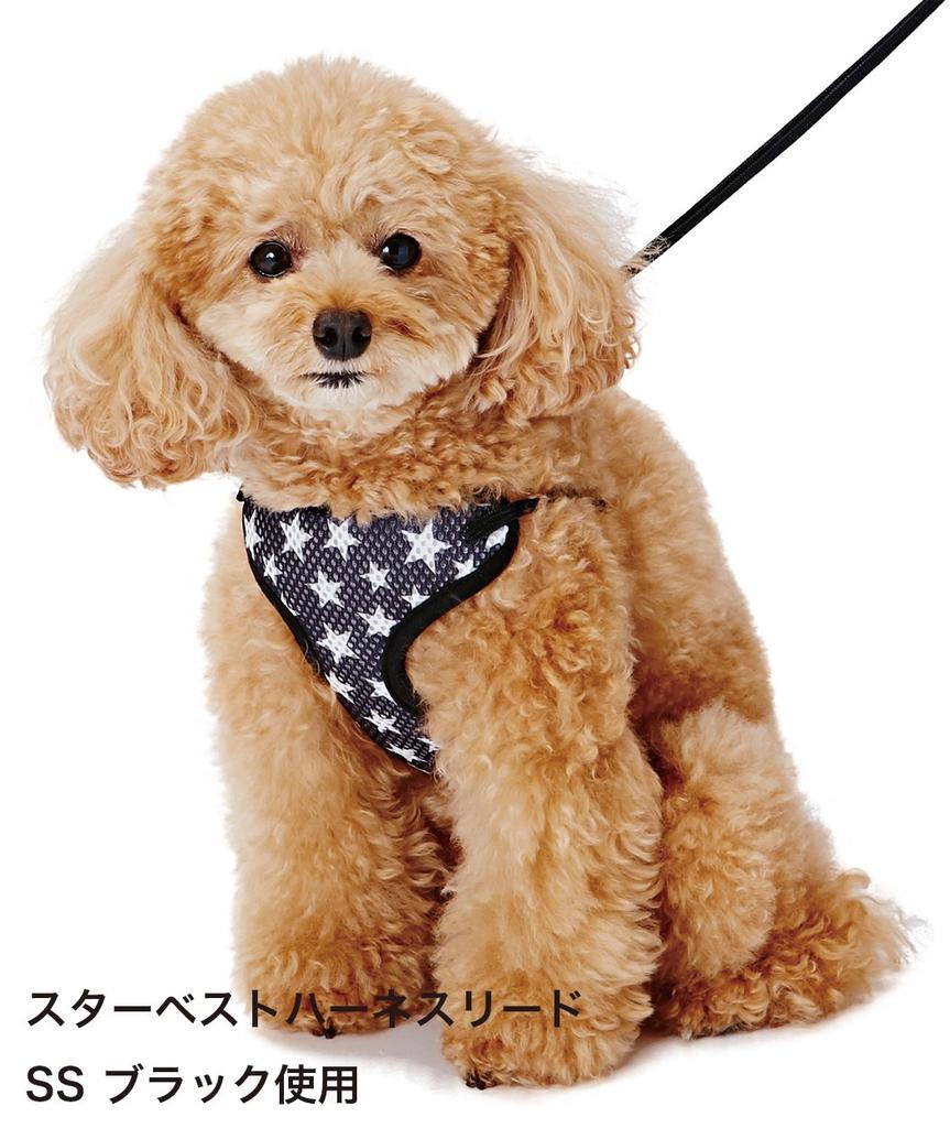 Petio ARFaShion Star Best Harness Lead Black for Small Dogs SS Size
