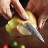Paring Knives 3.5Inch Professional Grade Handmade Best Quality Japanese Damascus Stainless Steel for Kitchen Fruit Peeling Knife