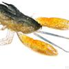 High Silicone Lobster Fishing