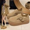 Women's Plush Single Shoes 2 Spring and Autumn New Platform Muffins Are All Inclusive