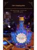 Mr. Toy Little Magician Science DIY Kit for Kids & Parents