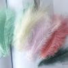 50 Pezzi Piume Naturali Piccole Galleggianti Colorate Piumette per Artigianato Matrimonio Gioielli Decorazione Casa Piume.