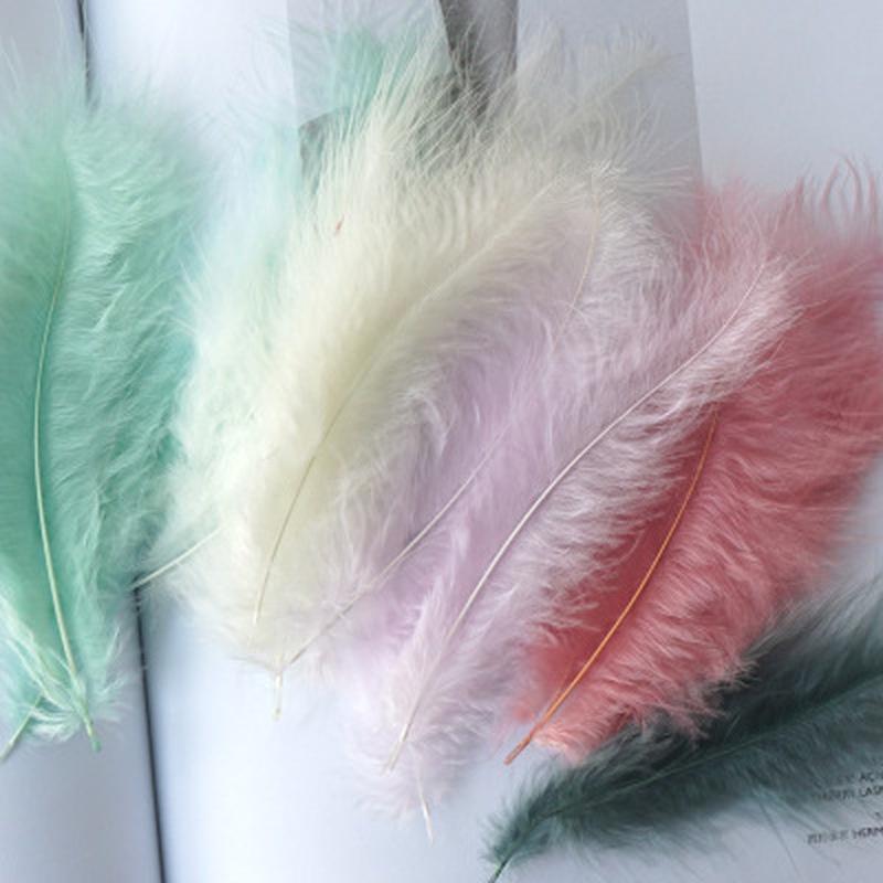 50 Pezzi Piume Naturali Piccole Galleggianti Colorate Piumette per Artigianato Matrimonio Gioielli Decorazione Casa Piume.