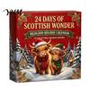 Christmas Advent Calendar 24 Days of 3D Highland Cow Calendar, Cute Farm Day Countdown Box Cattle with Mini Figurines Collectibles for Holiday