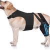 Anti-Licking Pet Leg Support Breathable Dog Rear Leg Brace  Post-Operation Care