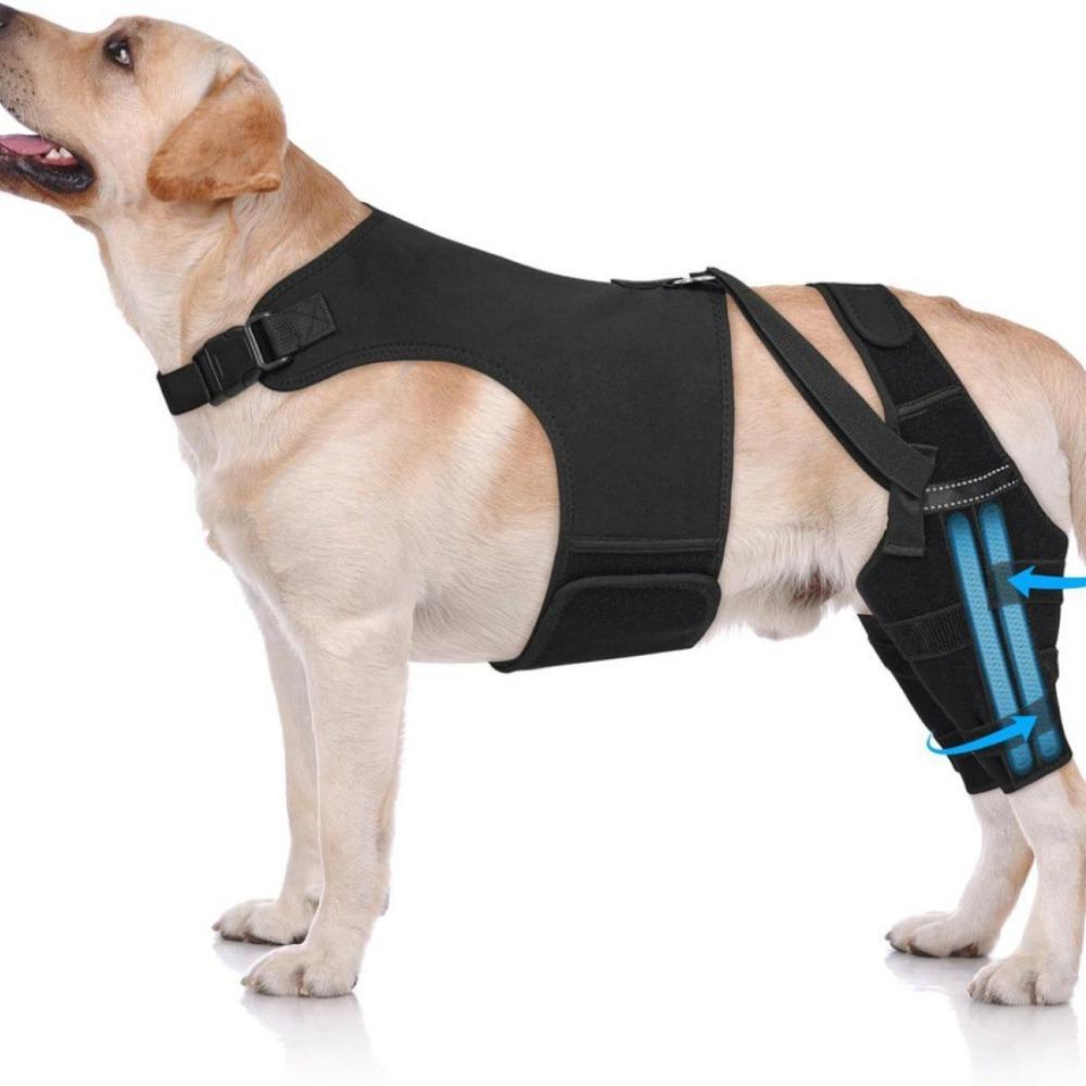 

Adjustable Dog Knee Brace Breathable Dog Rear Leg Brace Joint Protection Sleeve Sprain Nursing XS