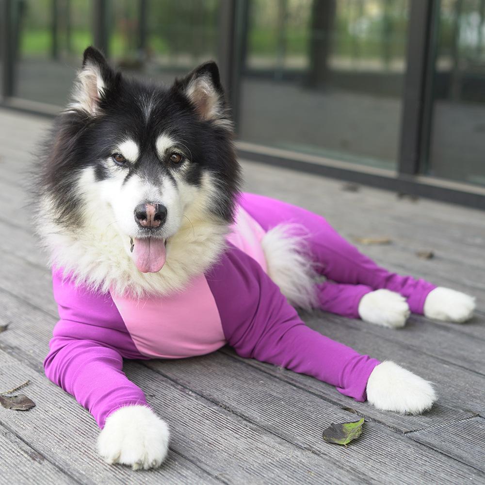Autumn and Winter Anti-hair Loss Large Dog Clothes Elbow Pads All-inclusive Pet Four-legged Clothes Golden Hair Labrador Clothes