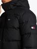 Зимняя куртка Tommy Hilfiger Water Repellent Down Jacket (DM0DM19786) черный